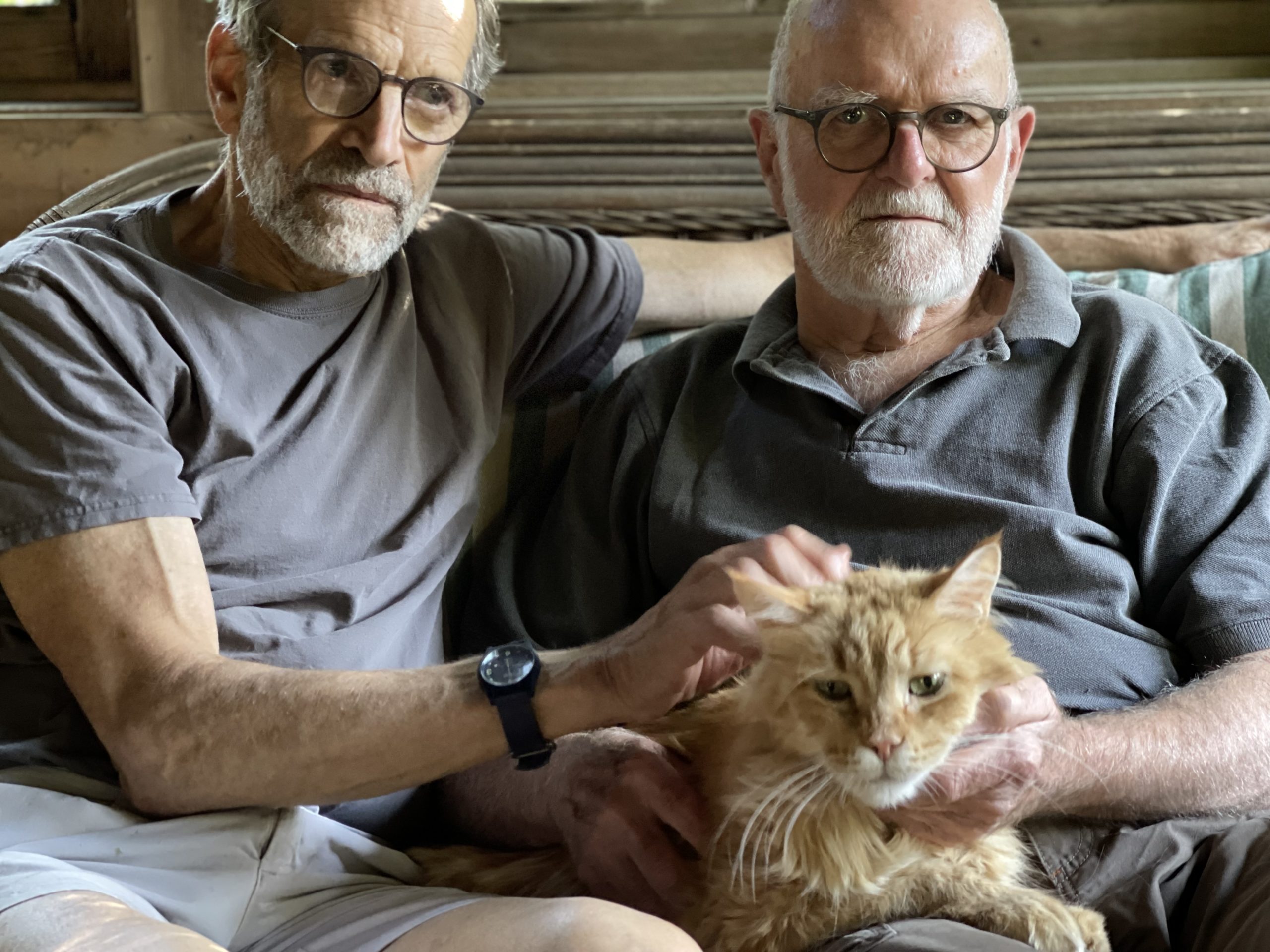 Donald Currie and Daniel Gladstone sitting both in grey shirts with their orange cat on their laps