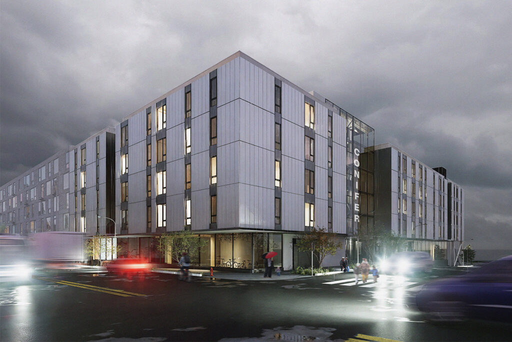 Featured Image - CONIFER