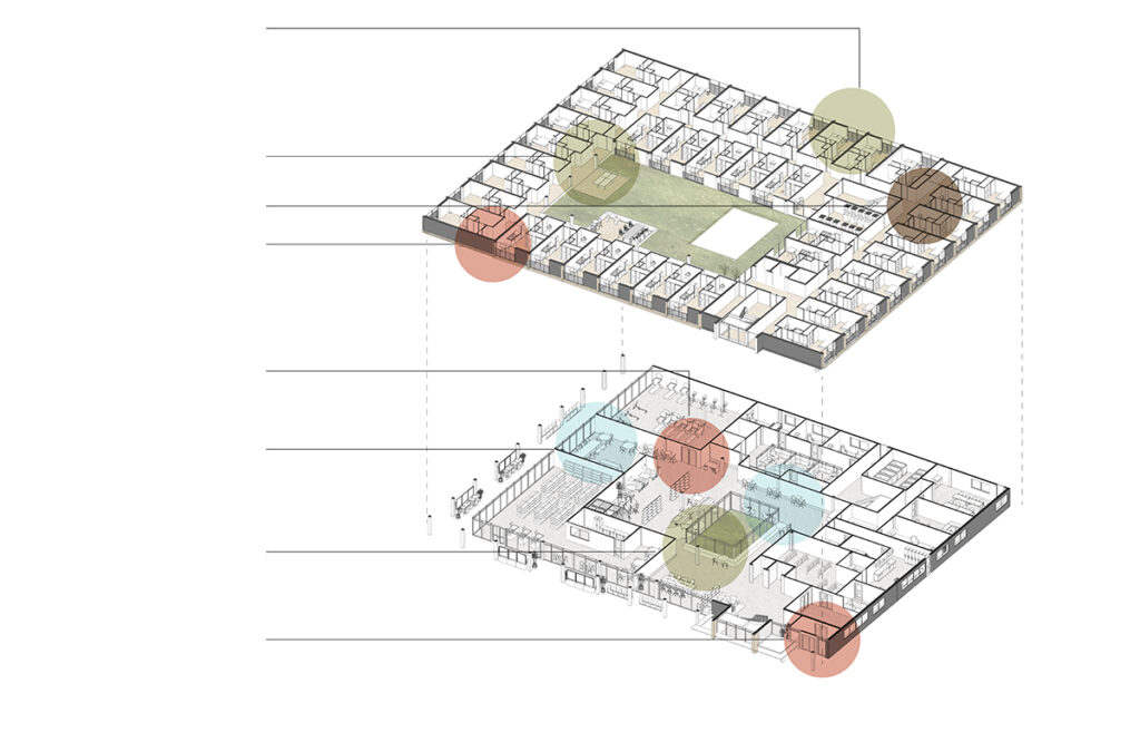AXON PLAN DIAGRAM